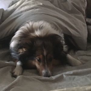 Meet your Posher, Kylie